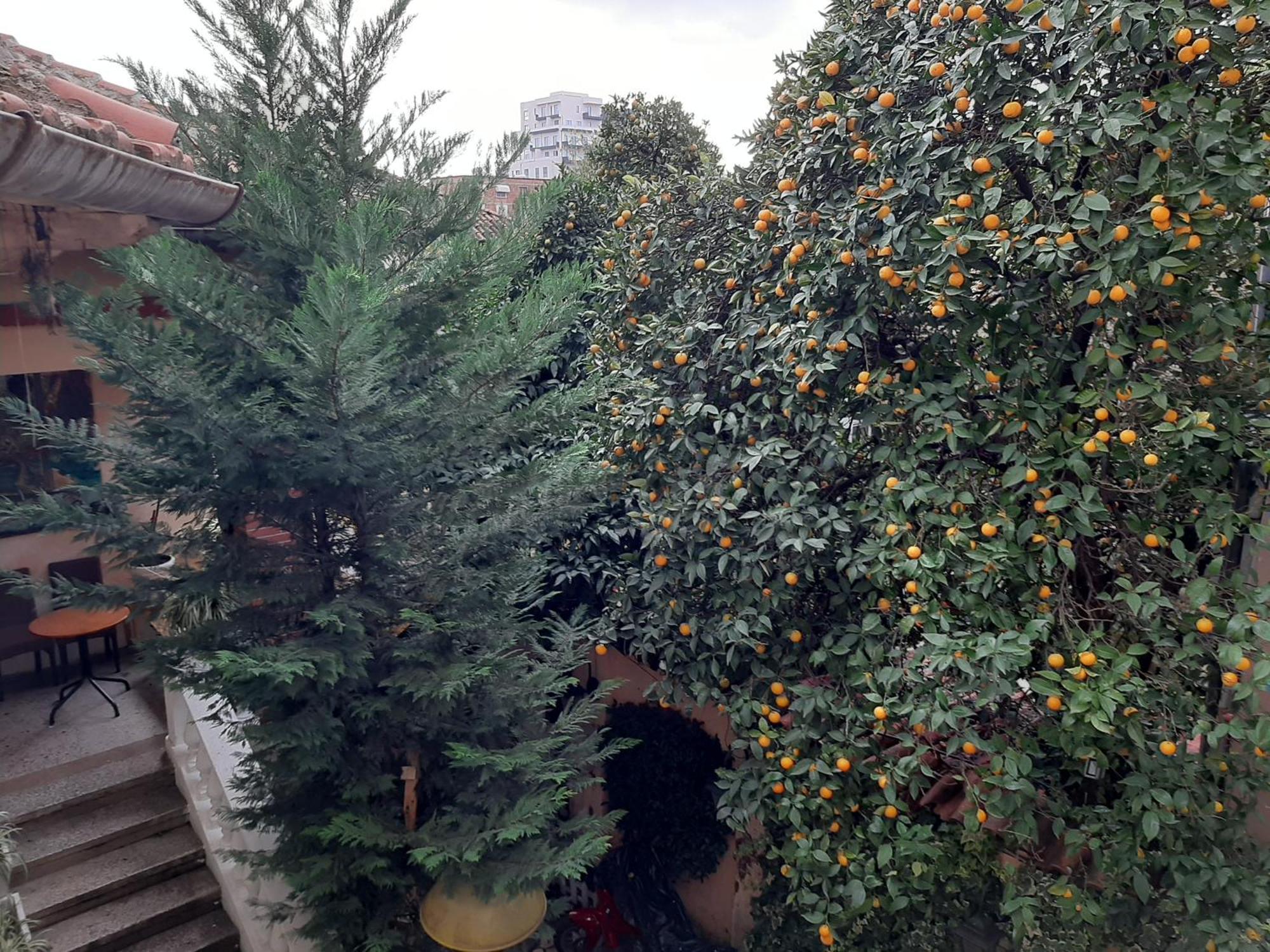 Enki'S Guesthouse Tirana Kültér fotó